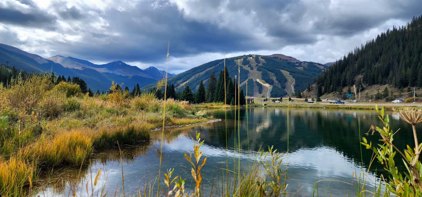 View of Cooper Mountain